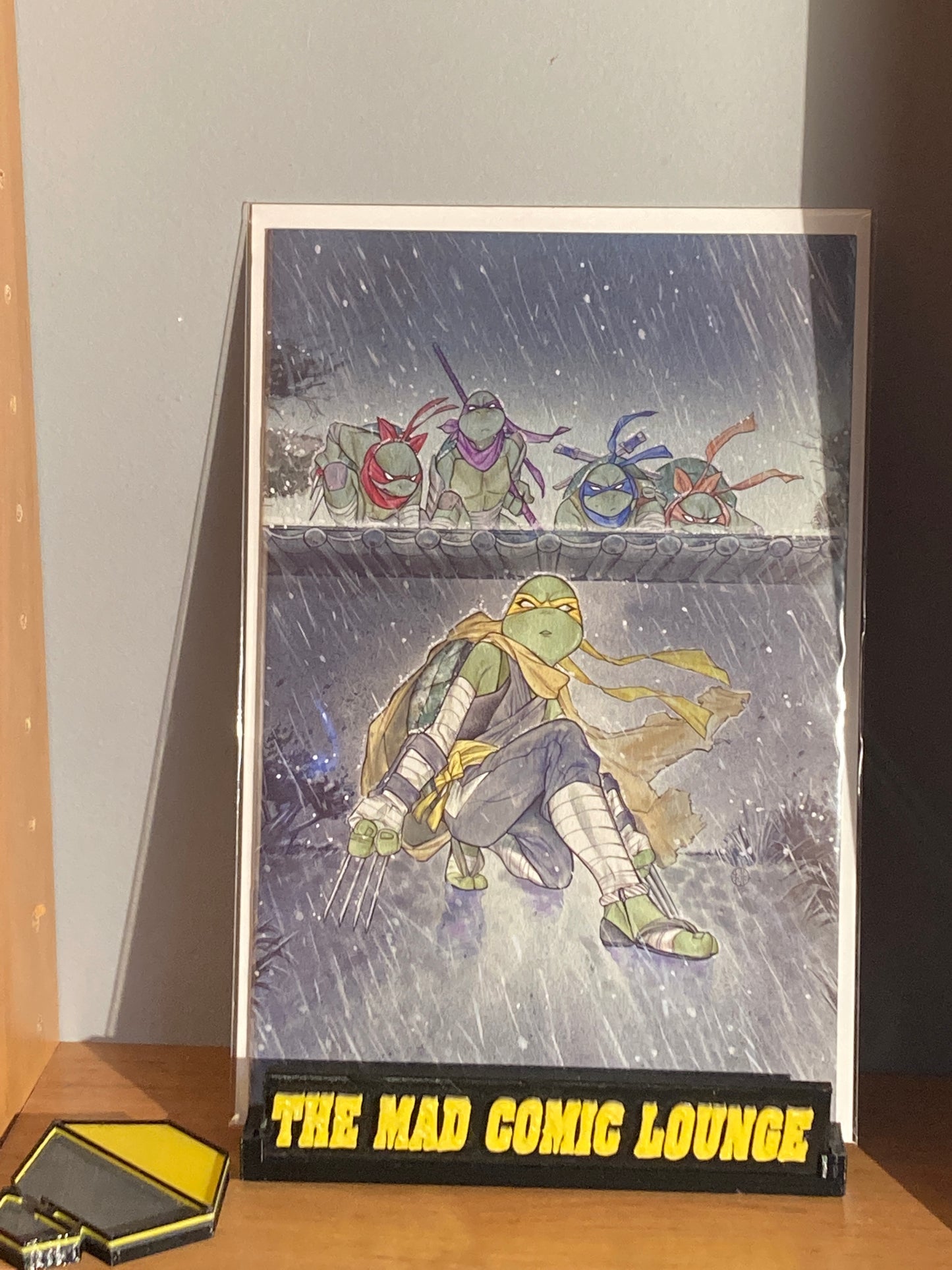 TMNT Jennika 3